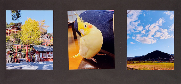 私の好きなもの