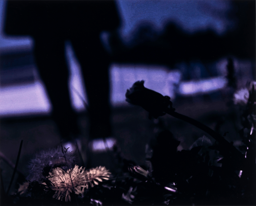 吹きこぼれるほどの愛、哀、I